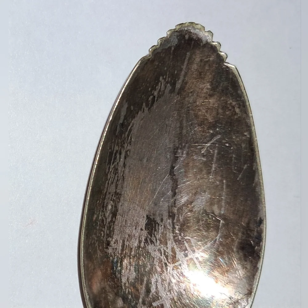 WM ROGERS MFG. CO. serated tip Spoon